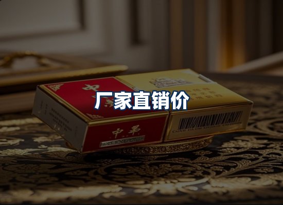专业团队办公环境